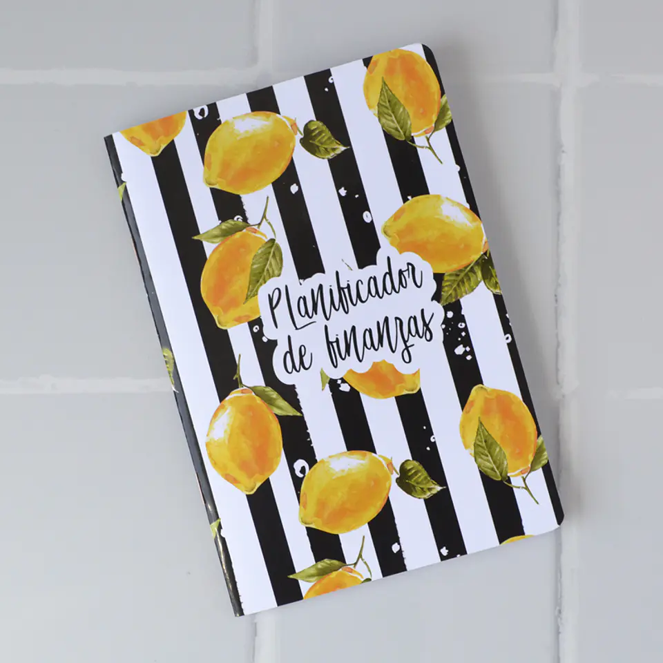 B6 Planificador de Finanzas Limones 1