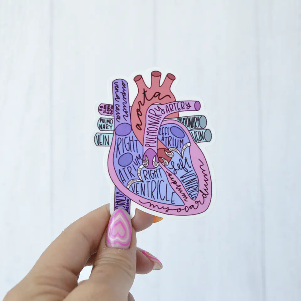 Sticker Corazón  1