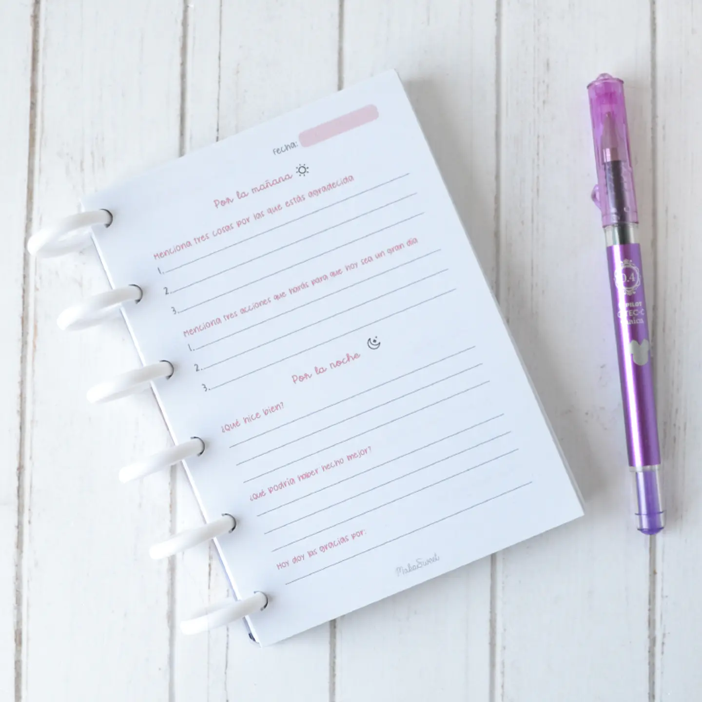 Cuaderno de Gratitud 2