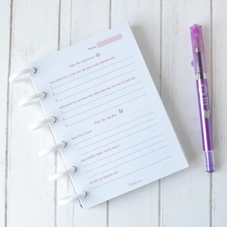 Cuaderno de Gratitud 2