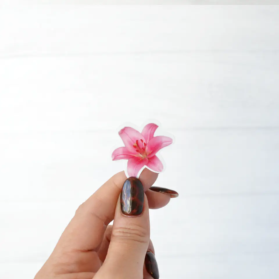 Flor lilium 1