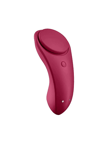 Vibrador Satisfyer Sexy Secret Panty con App 3
