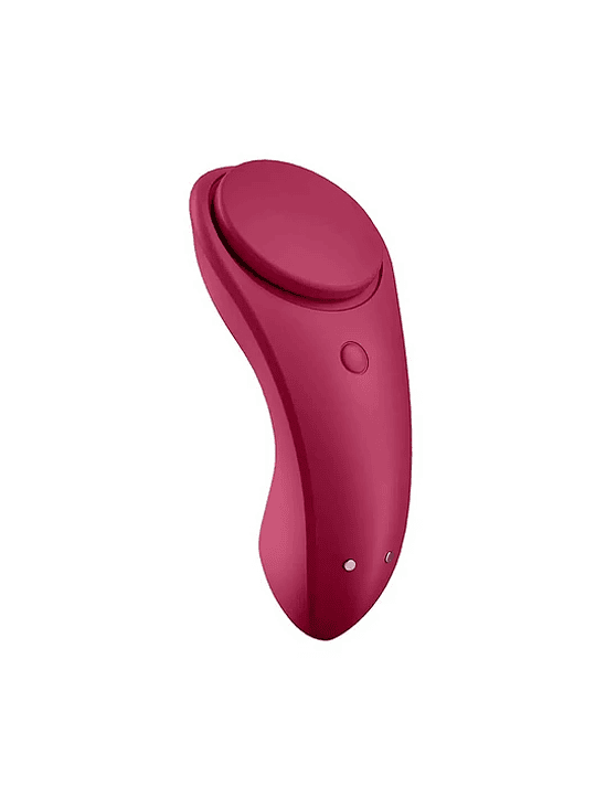 Vibrador Satisfyer Sexy Secret Panty con App 3