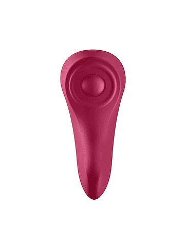 Vibrador Satisfyer Sexy Secret Panty con App 5