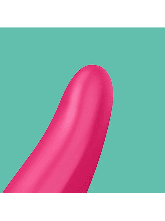 Satisfyer Vibrador Mr Rabbit 1