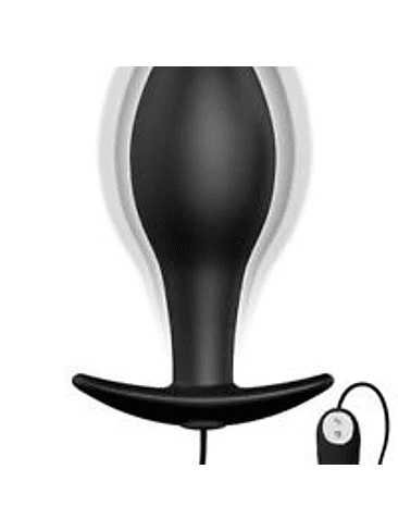 Vibrador Plug Anal c/Control 1