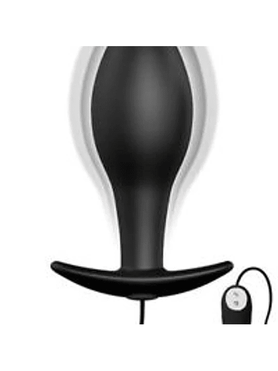 Vibrador Plug Anal c/Control 1