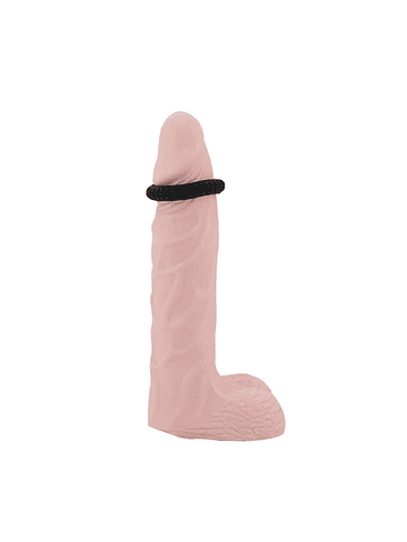 Anillo Erector Titán 3