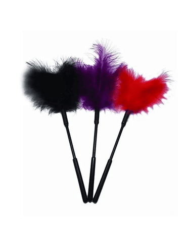 Pluma Traviesa Unidad 1