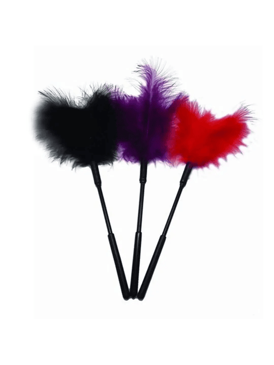 Pluma Traviesa Unidad 1