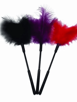 Pluma Traviesa Unidad