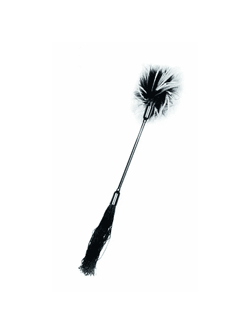 Látigo y Cosquillas 1