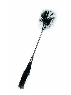 Látigo y Cosquillas