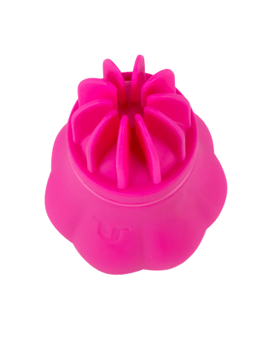 Vibrador 5 Cabezales Caress 2