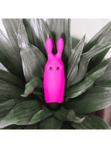 Balita Vibradora Conejín 5