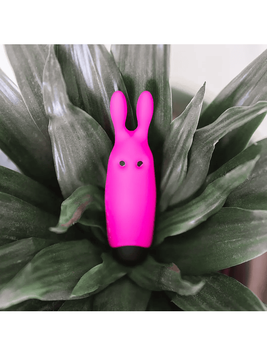 Balita Vibradora Conejín 5