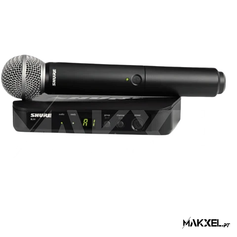 Shure BLX24/SM58 M17