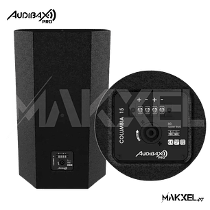 Audibax Pro Columbia 15