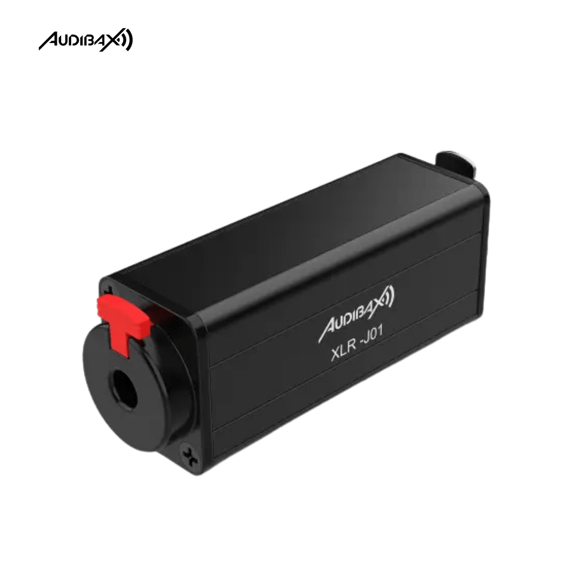 Adaptador Audibax XLR J01 XLR para Jack 2