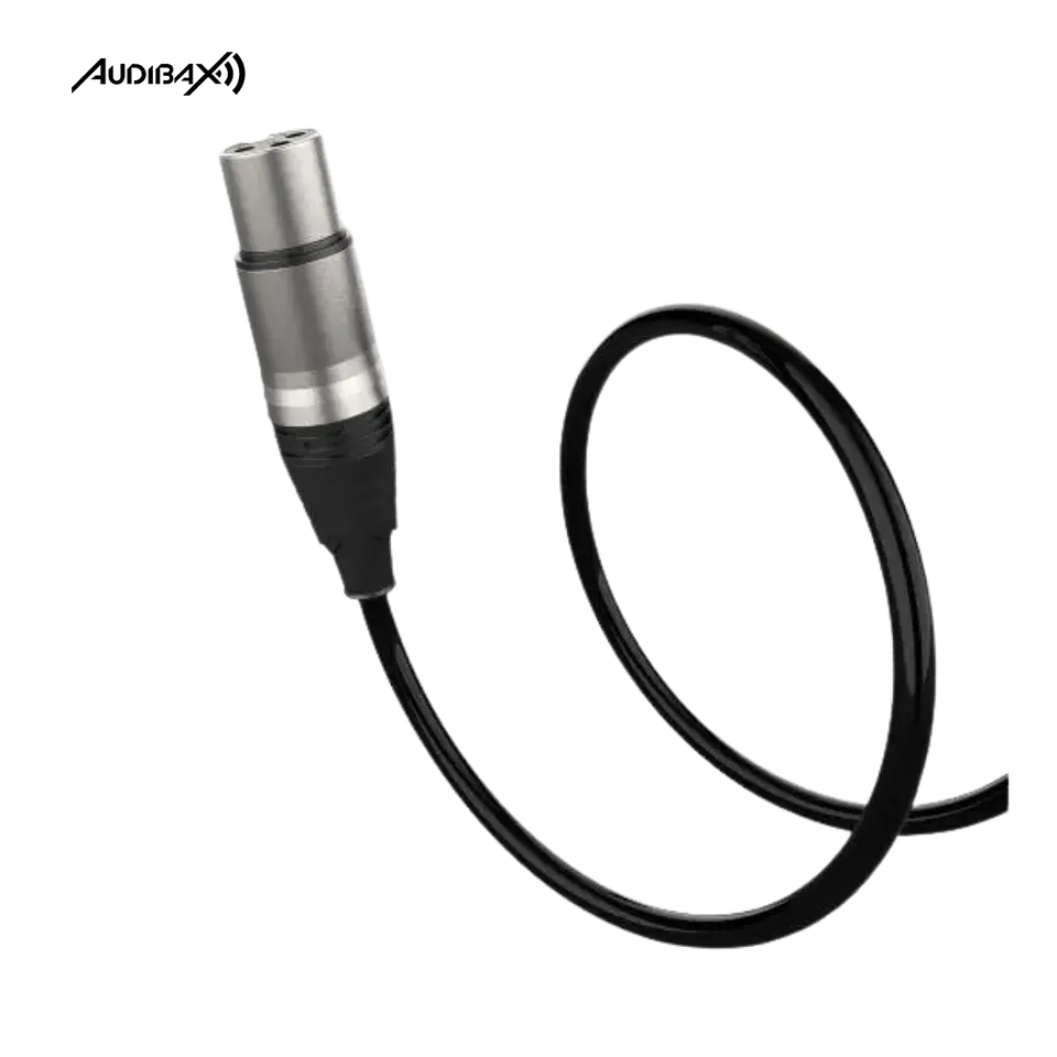 Audibax Evolution Cabo XLR Preto 1 Metro 2