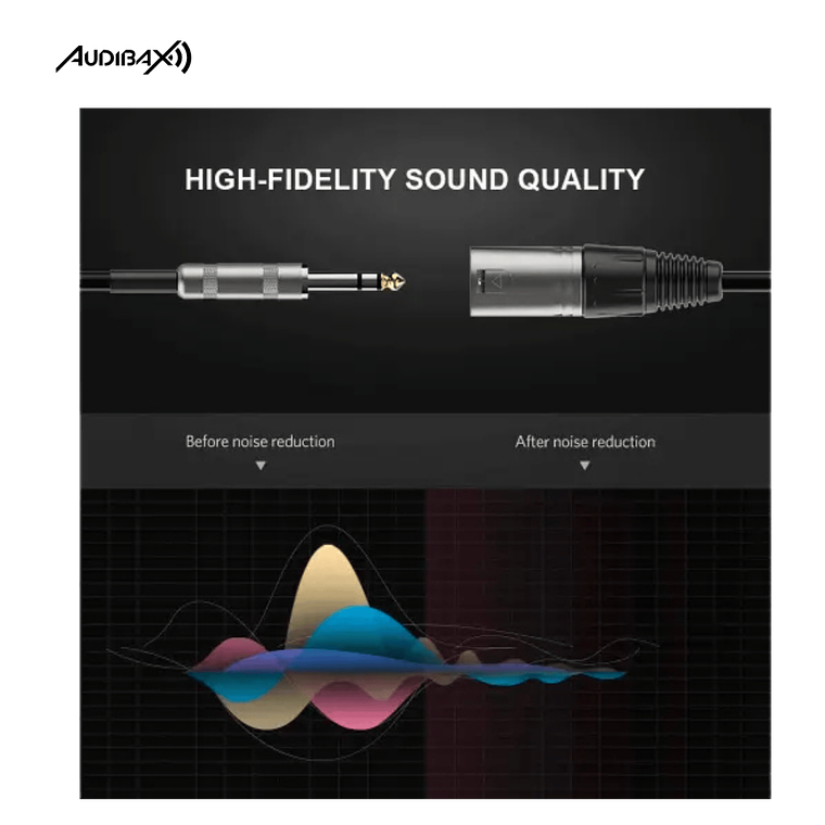 Audibax Silver XLR Cabo macho para jack balanceado 6 metros preto 4