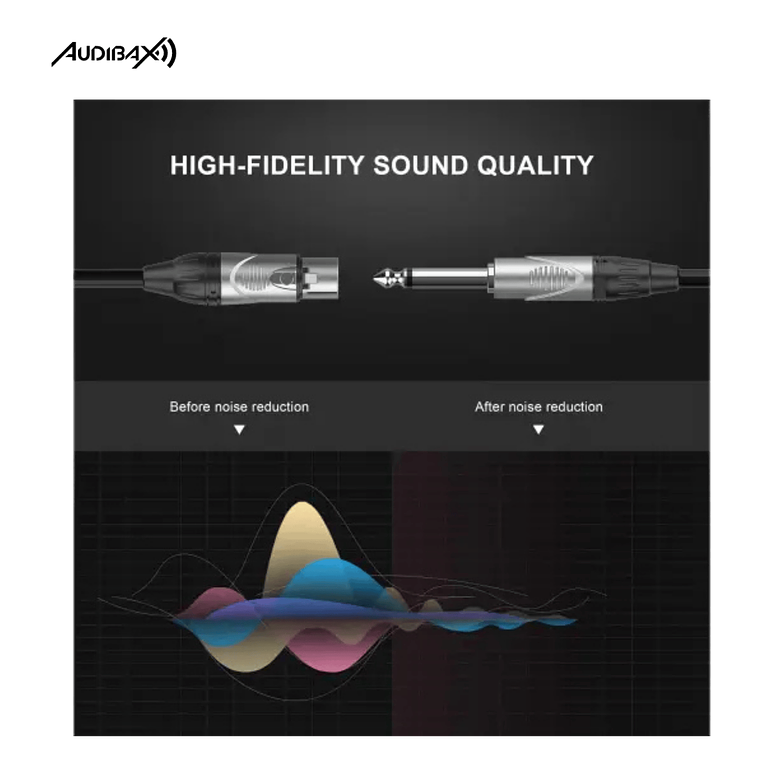 Audibax Silver XLR Fêmea para Mono Jack 0,90 Metros Preto 4