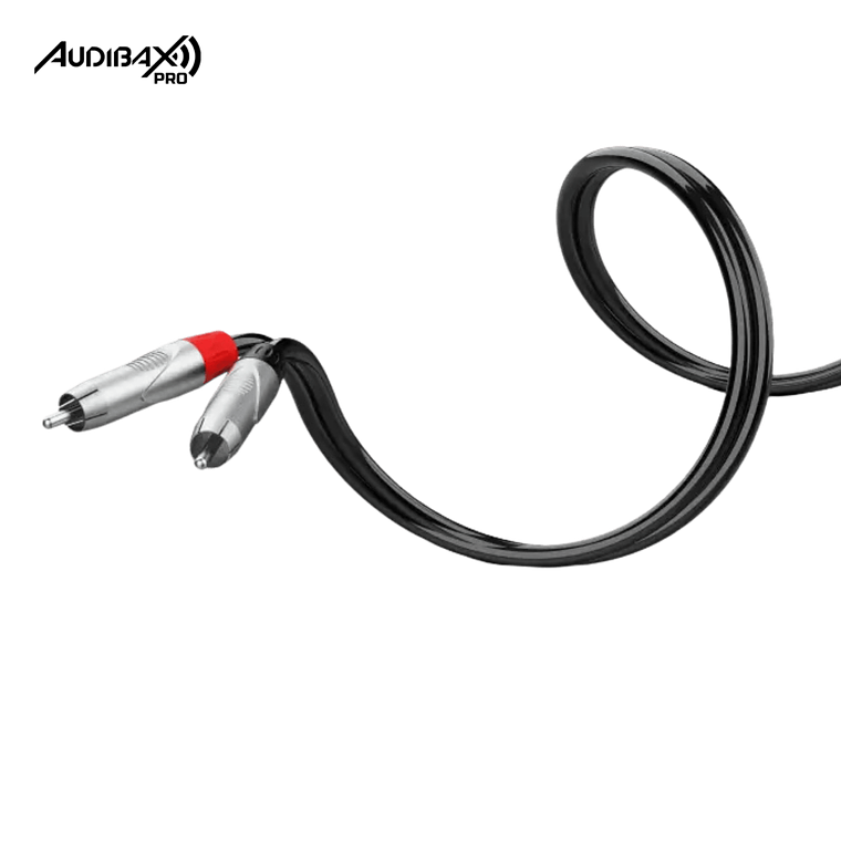 Audibax Pro Cable 2 XLR macho para 2 RCA 3 metros preto 2