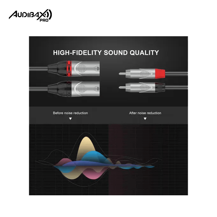 Audibax Pro Cable 2 XLR macho para 2 RCA 3 metros preto 4
