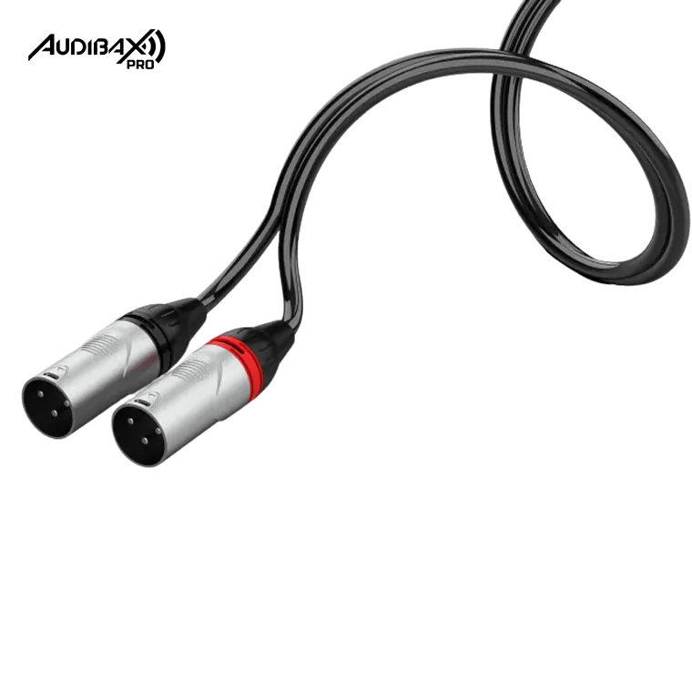 Audibax Pro Cable 2 XLR macho para 2 RCA 3 metros preto 3