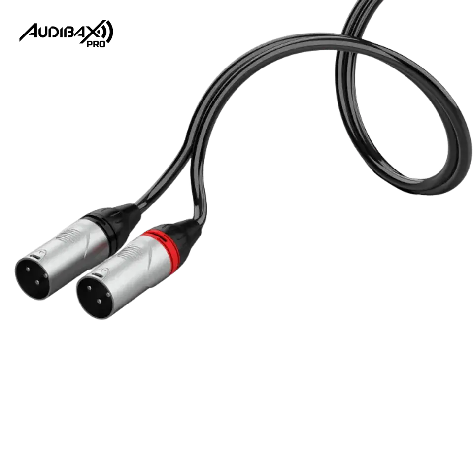 Audibax Pro Cable 2 XLR macho para 2 RCA 3 metros preto 3