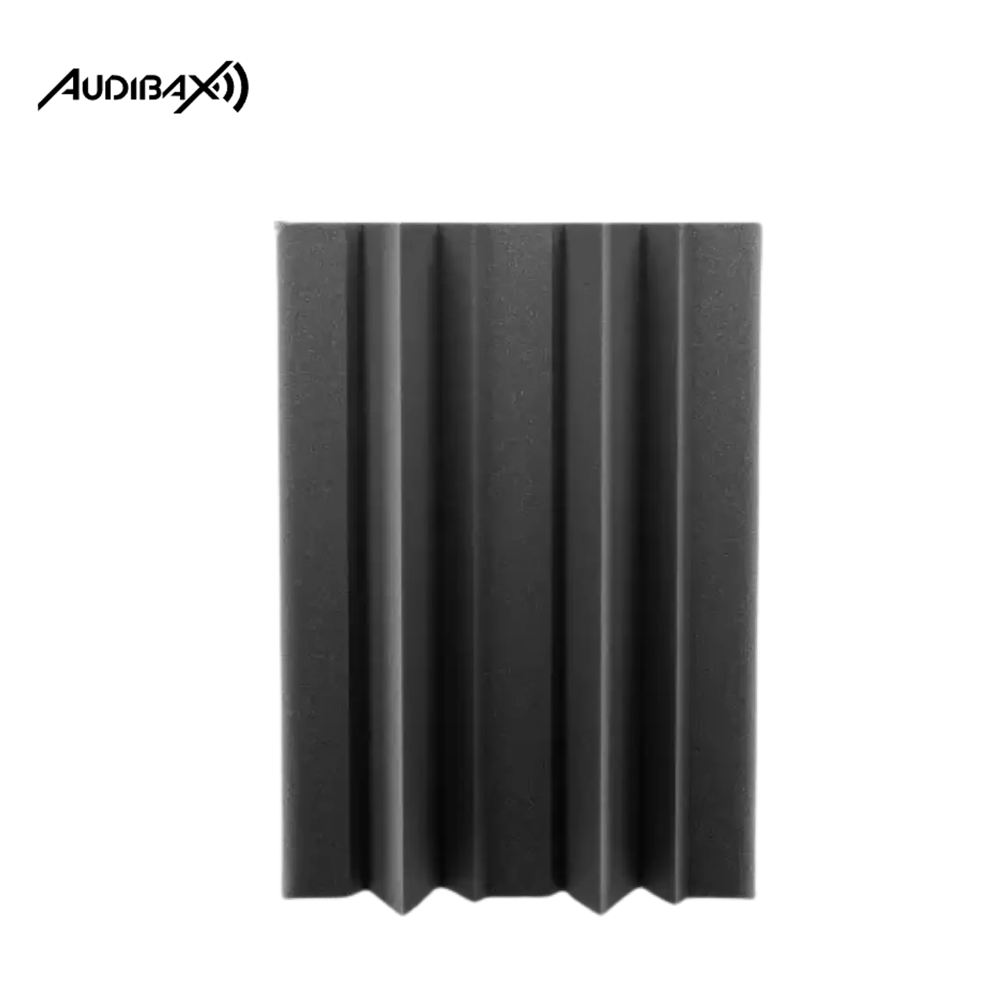 Pack 2 Absorvente de graves Audibax TG1  2