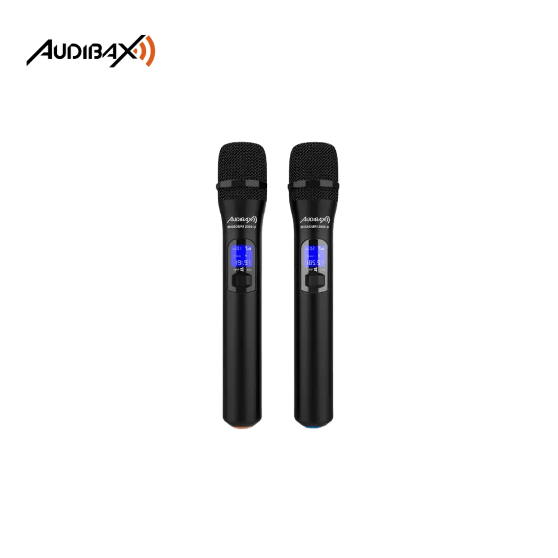 Audibax Missouri 2000 3