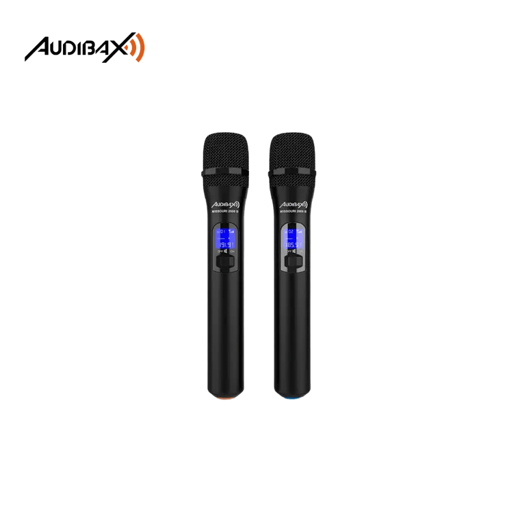 Audibax Missouri 2000 3