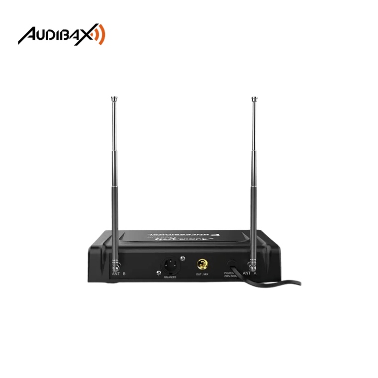 Audibax Missouri 2000 5