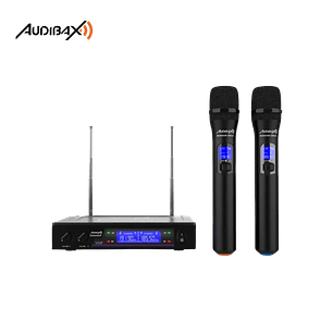 Audibax Missouri 2000