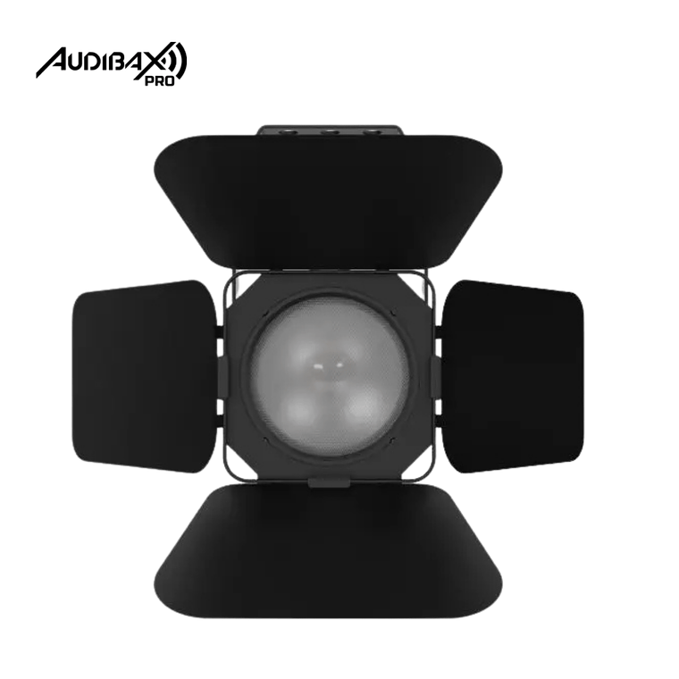 Audibax Pro Madison 50T 50W 2