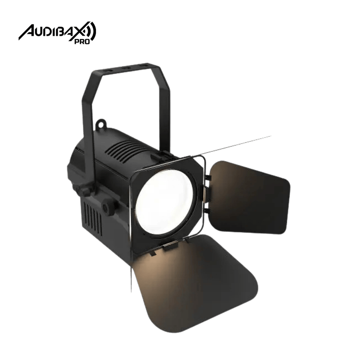 Audibax Pro Madison 50T 50W 1