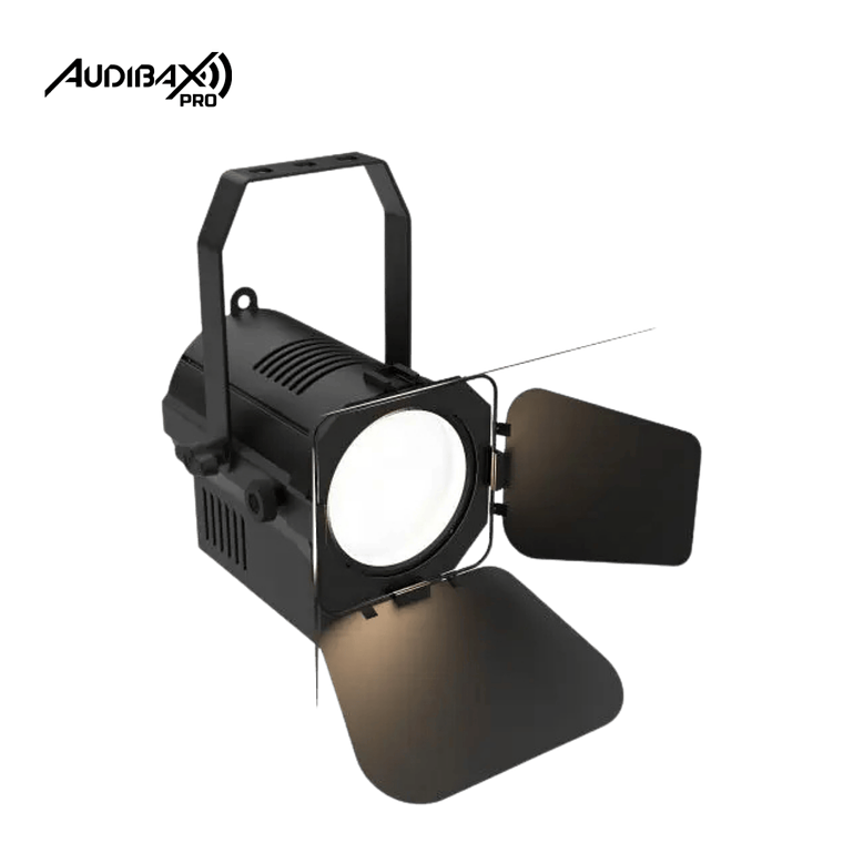 Audibax Pro Madison 50T 50W 1