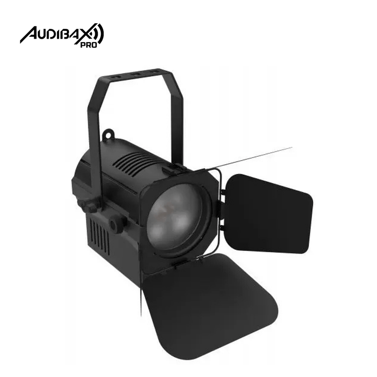 Audibax Pro Madison 40FC 40W RGBW 4 em 1 LED 5