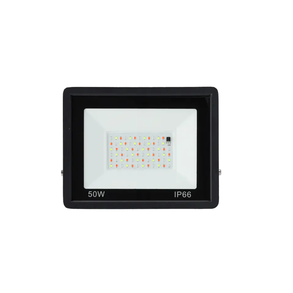 Projetor LED RGBW com controle remoto 50W 2