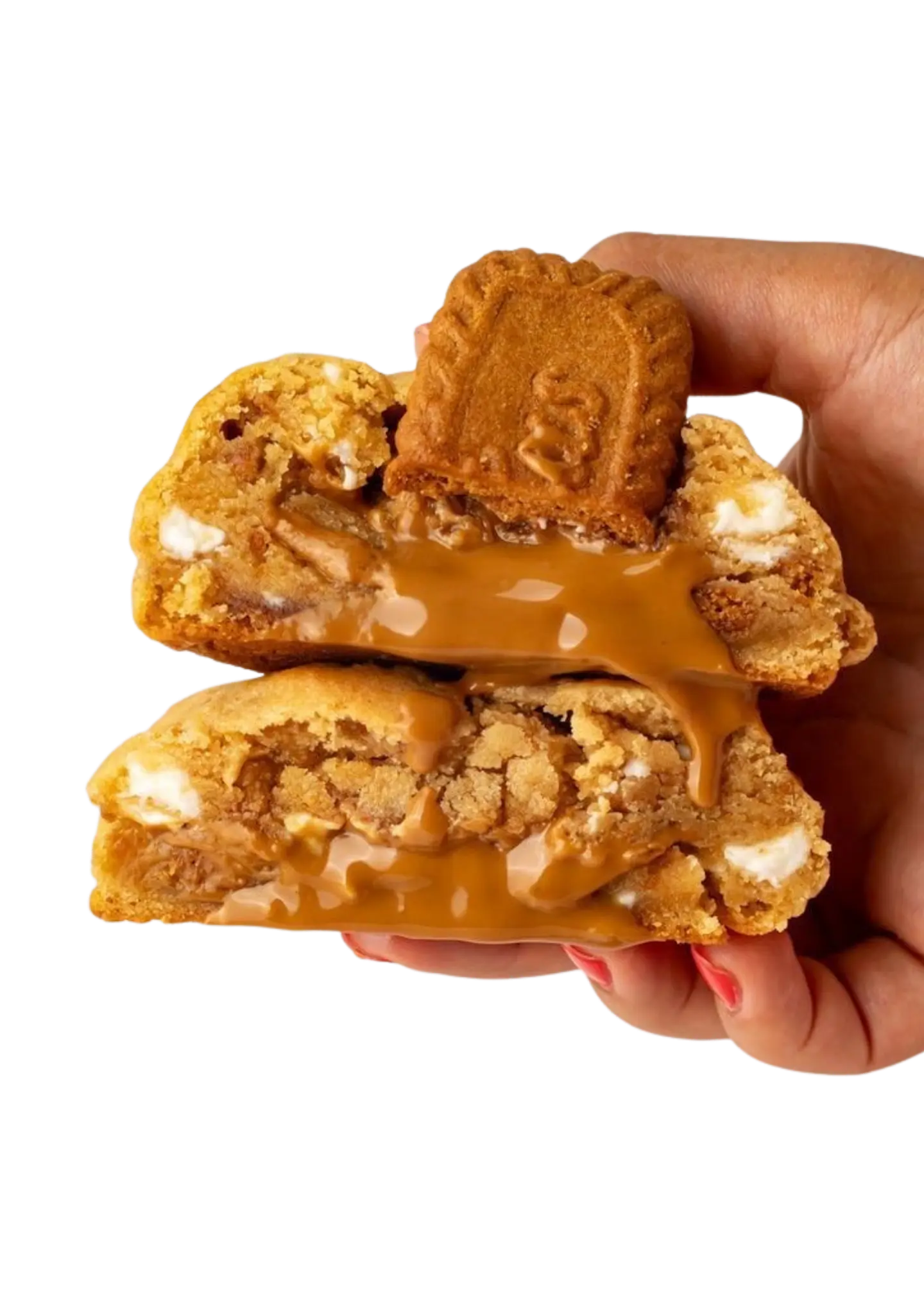 COOKIE LOTUS 1