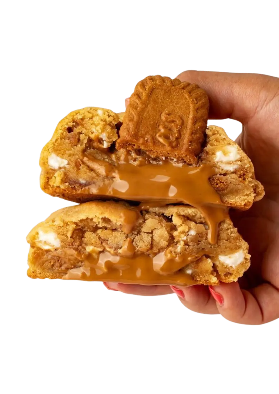 COOKIE LOTUS 1