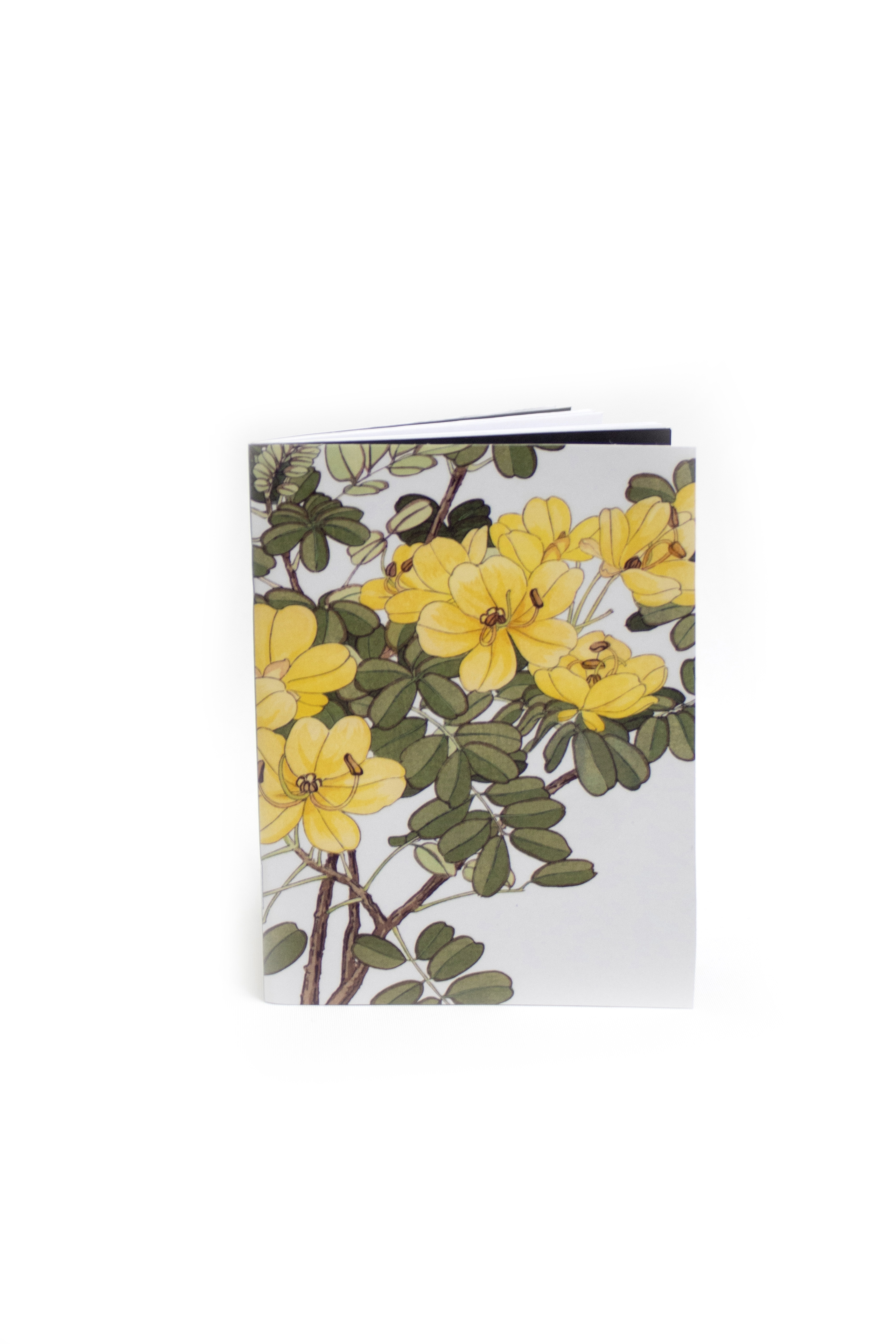 Libreta De Bolsillo Buho 48 Hjs Colores A Eleccion