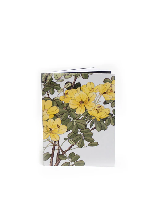 Libreta 20 hjs. 