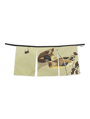 Cortinilla Ánades Reales