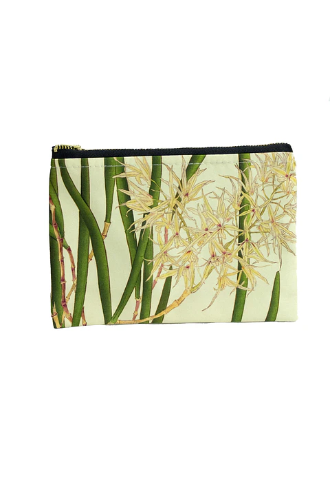 Estuche XS Orquídea Araña