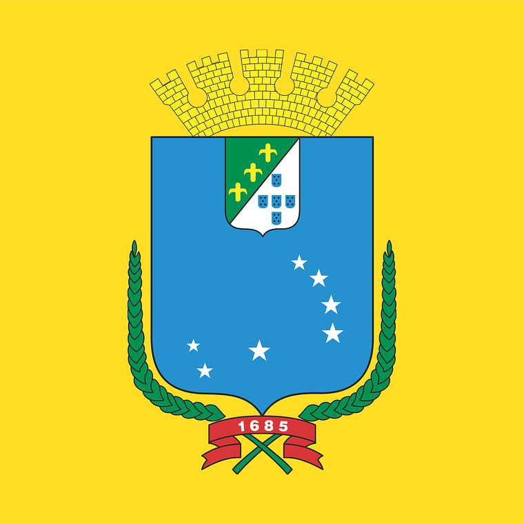 BANDEIRA SÃO LUIS - MA 1