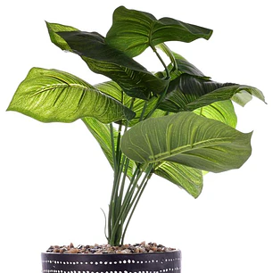 Planta Artificial Dieffenbachia Maceta Congo