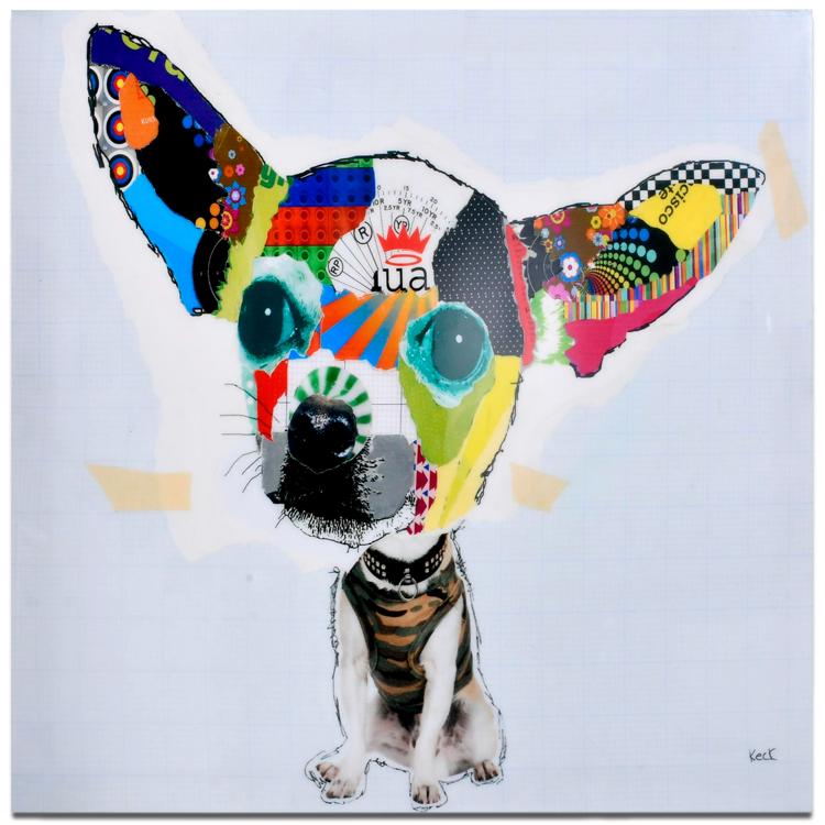 Cuadro Chihuahua 40 x 40