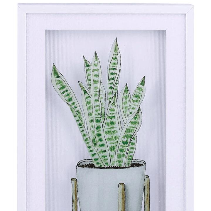 Cuadro Decorativo Dracaena Africana 3